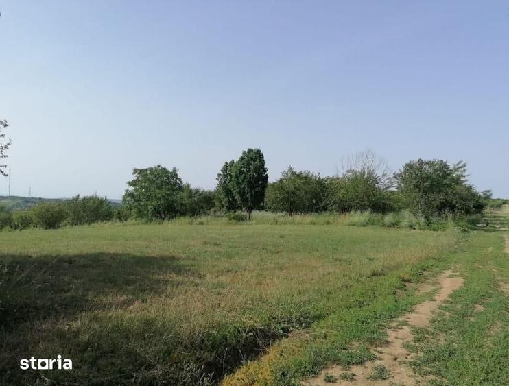 Teren de 10480 mp, în Paleu