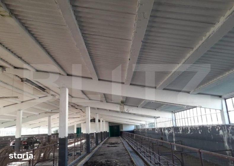 De vanzare teren-intravilan, ferma 9,5 ha, Tulcea-Sf. Gheorghe - 8