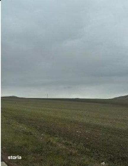 Teren de 15000 mp, în Nalbant