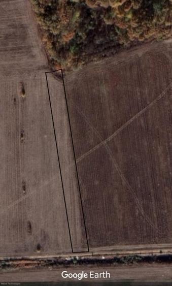 Teren agricol extravilan de 5000 mp, în Săbăreni