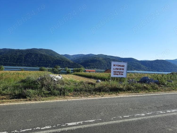 Teren de 2500 mp, în Berzasca