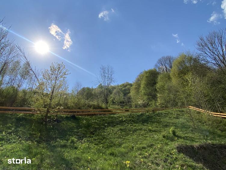 Teren de 4360 mp, în Valea Doftanei