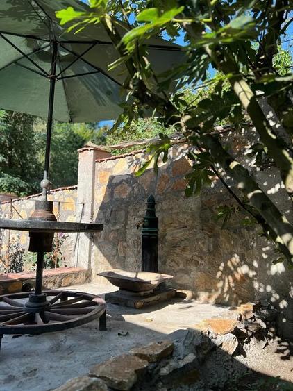 Casă cu 2 camere în Sasca Montană