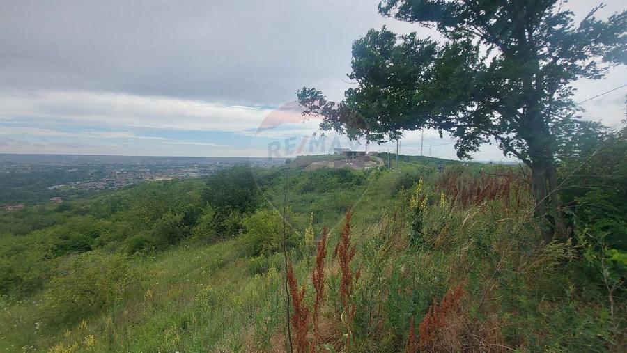 Teren Construcții intravilan de 3100 mp, în Dealuri Oradea