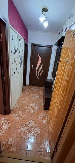 Apartament cu 2 camere semidecomandat în Terezian