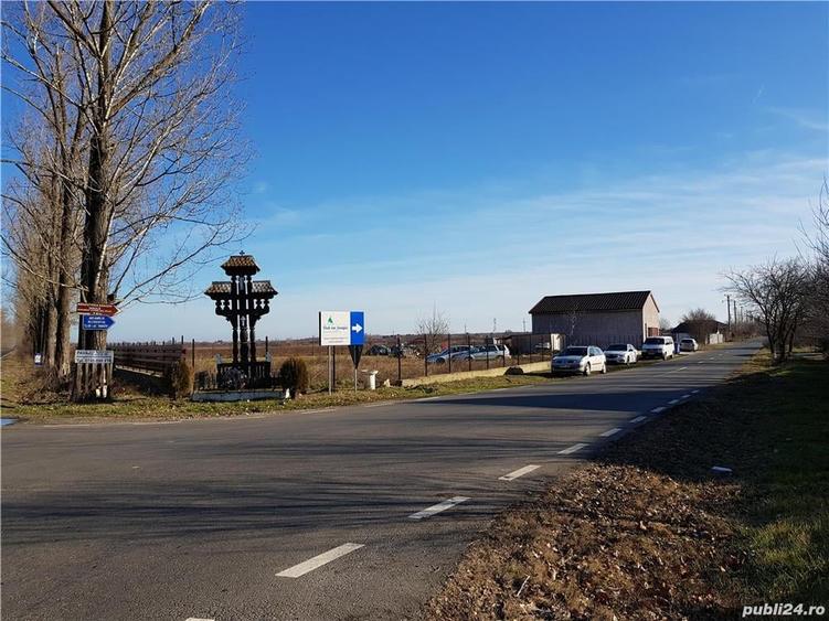 3660 metri teren in Ciolpani, Silistea Snagovului, Ilfov - 10