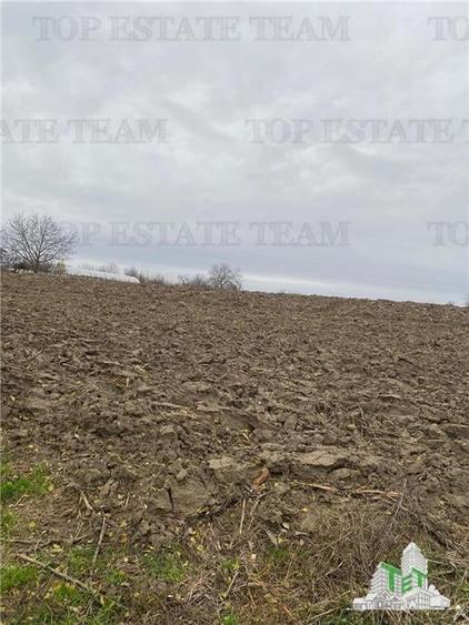 Teren Construcții intravilan de 12223 mp, în Berceni