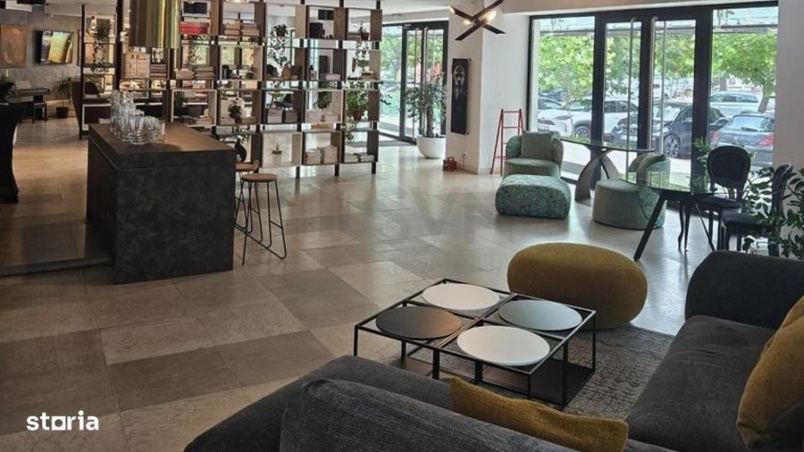 Spatiu Comercial High End I Matei Basarab - 8