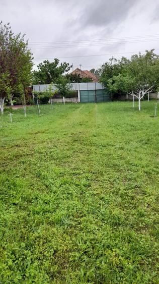 Casă cu 4 camere în Brânceni