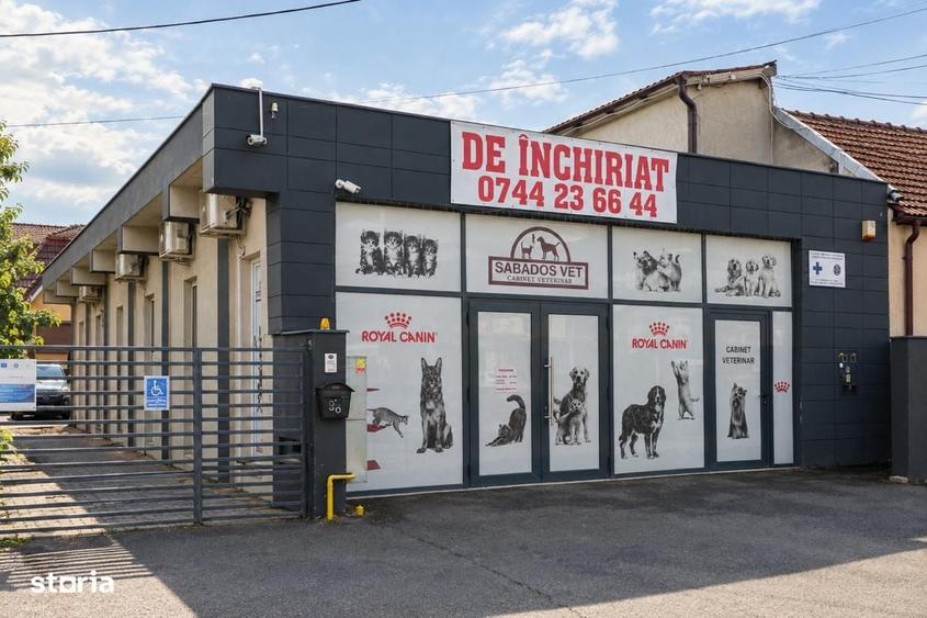 Spațiu comercial, de 160 mp, în Careiului