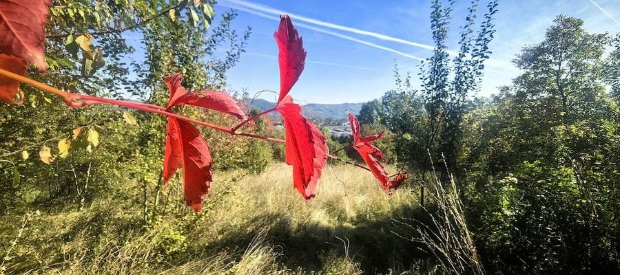 Teren de 1600 mp, în Breaza de Sus