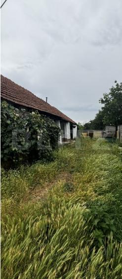 Teren Construcții intravilan de 2200 mp, în Exterior Est