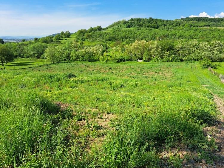 Teren agricol extravilan de 9300 mp, în Central