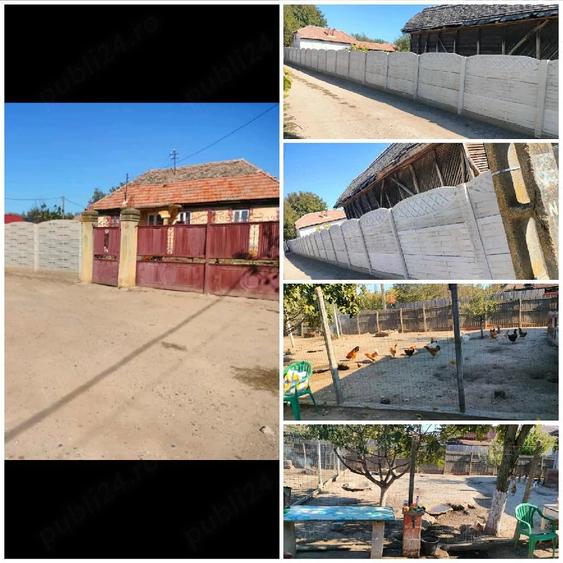 Casă cu 3 camere cu Teren 2700 Mp în Salcia