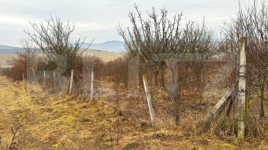 Teren Construcții extravilan de 2900 mp, în Sud-Vest