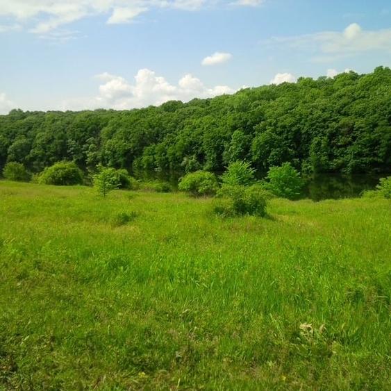 Teren Construcții intravilan de 1500 mp, în Găneasa