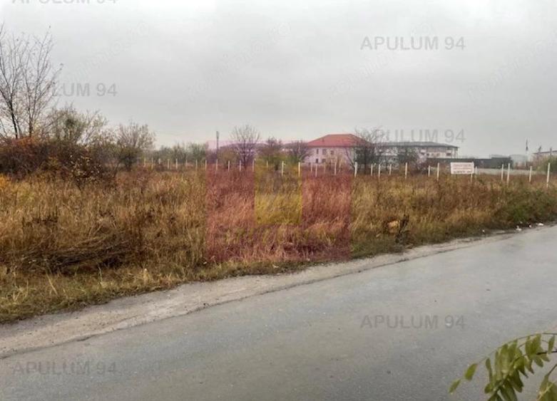 Teren Soseaua Alexandriei- Pasarela Bragadiru. - 3