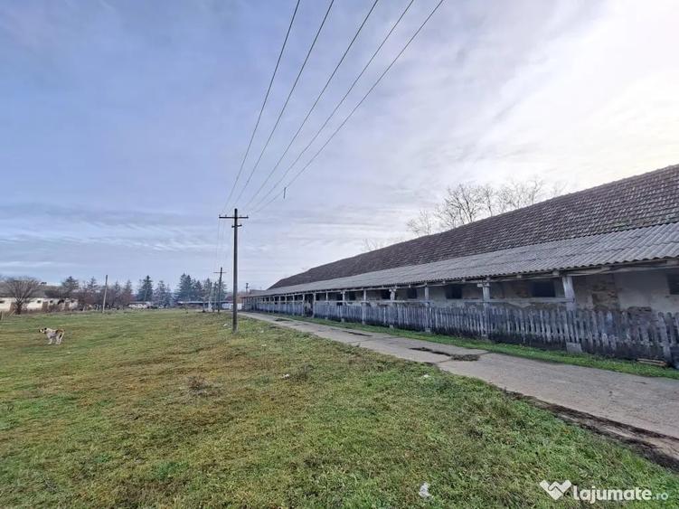 De vanzare 1 ha teren intravilan cu 2 grajduri acoperite cu tigla - 2