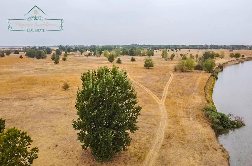 Teren agricol extravilan de 1180000 mp, în Secusigiu