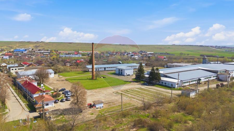 Teren Construcții intravilan de 41140 mp, în Est