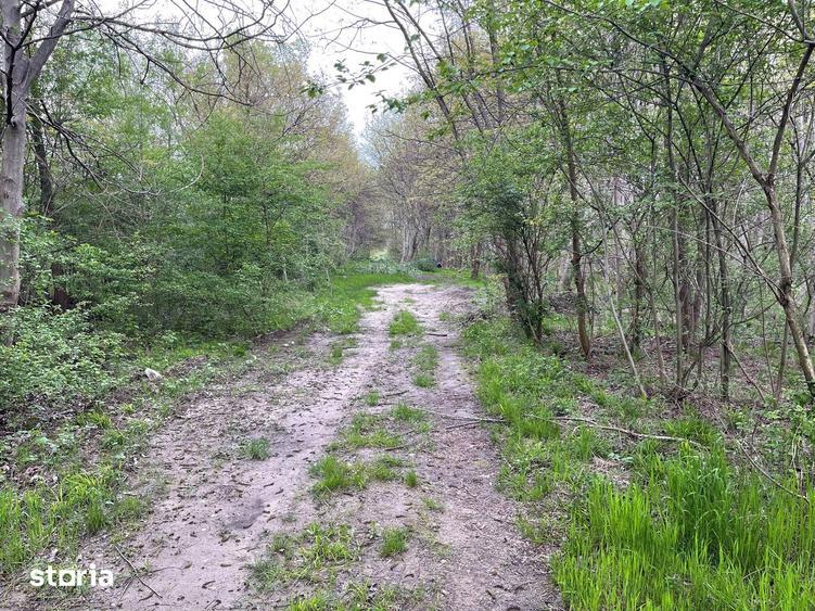 Teren 755 mp, Dem Radulescu, la 7 min de centrul orasului Rm Valcea - 6