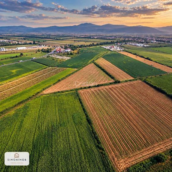 DIRECT PROPRIETAR | 11,26 ha Brasov | viitorul nod A13DN13 | 24 EURO/mp