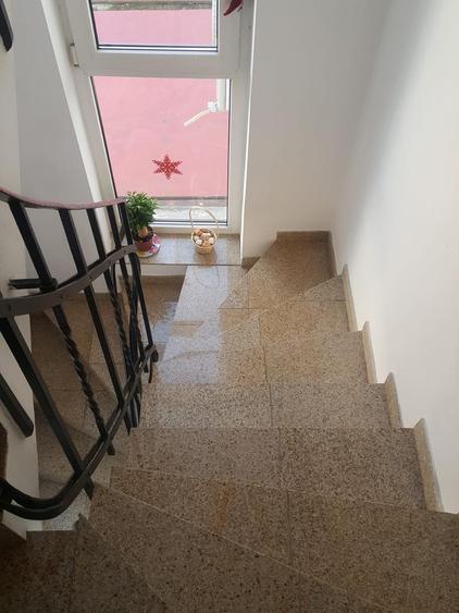 Casă individuală cu 9 camere cu Piscina în Titulescu