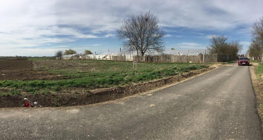 Teren de 2250 mp, în Chiscani