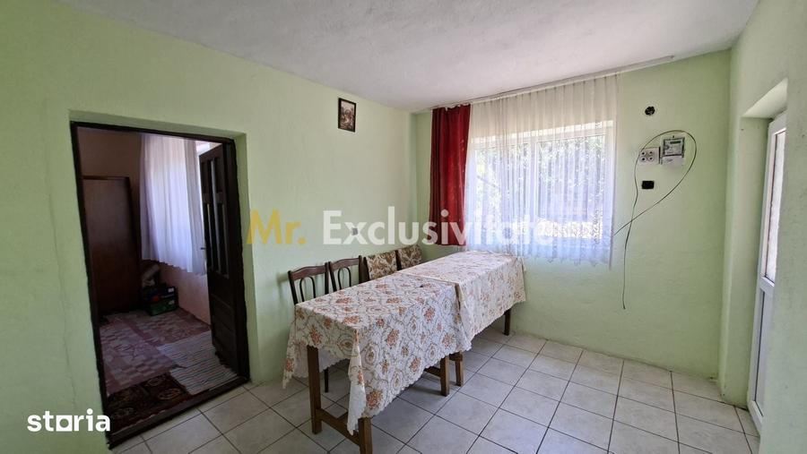 Casă cu 3 camere cu Teren 1667 Mp în Teiu