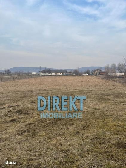 Spațiu comercial, în Șirioara