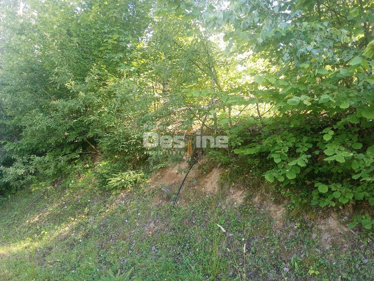 Teren Construcții extravilan de 3200 mp, în Moisei