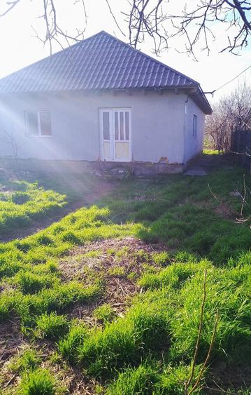 Casă cu 1 camere cu Teren 850 Mp în Ciocârlia