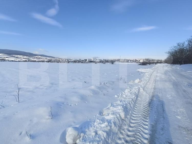 Teren Construcții intravilan de 7000 mp, în Sud