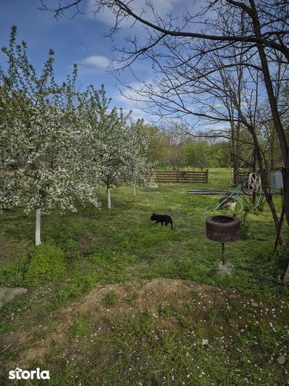 Casă cu 2 camere cu Teren 80 Mp în Alexeni