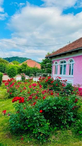 Casă cu 4 camere cu Teren 1490 Mp în Coman