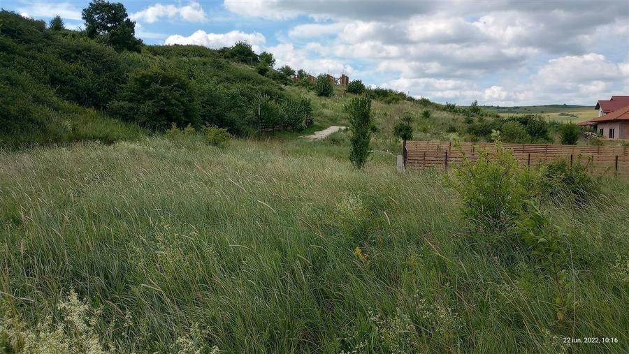 Teren de 966 mp, în Chinteni