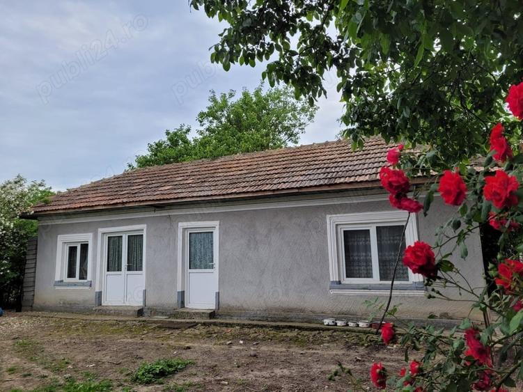 Casă cu 5 camere cu Teren 1351 Mp în Cernica
