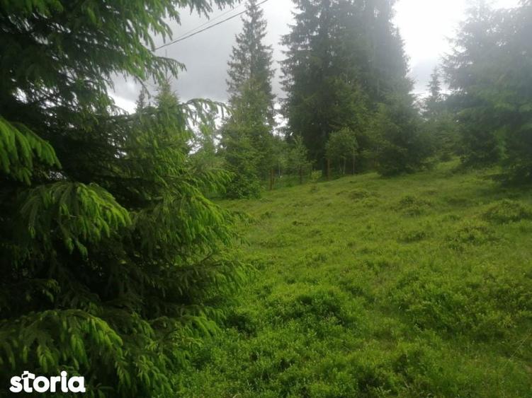 Teren de 1300 mp, în Beliș