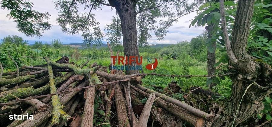 Spațiu comercial, în Straja
