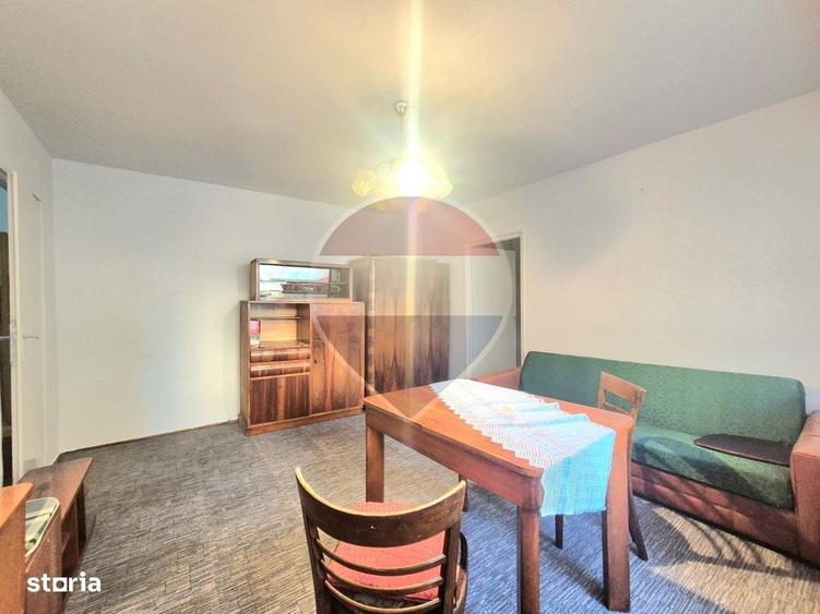 Apartament 2 camere de inchiriat in zona Podgoria - 9