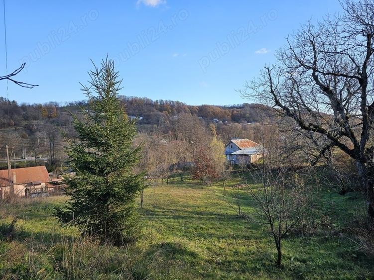 Casă cu 3 camere cu Teren 6772 Mp în Ursoaia