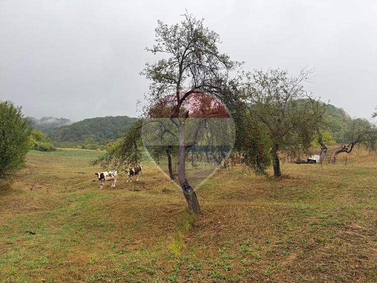 Casă individuală cu 4 camere cu Teren 7700 Mp în Brebeni