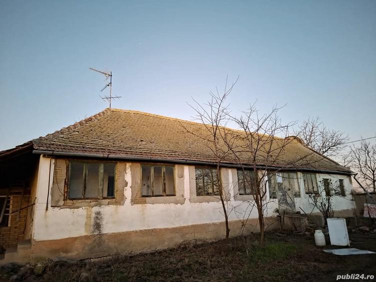 Casă cu Teren 2156 Mp în Dudeștii Vechi