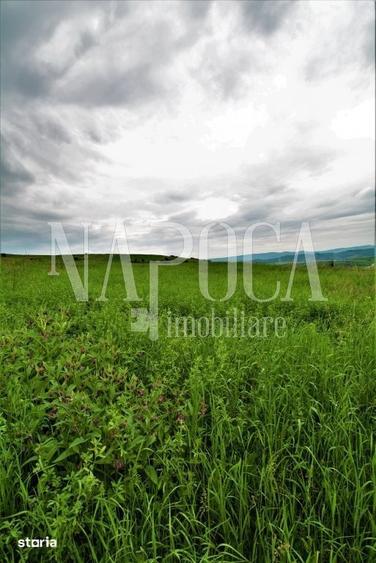 Teren de 8150 mp, în Baciu