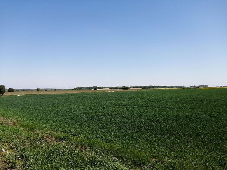 Teren agricol intravilan de 5114 mp, în 1 Decembrie
