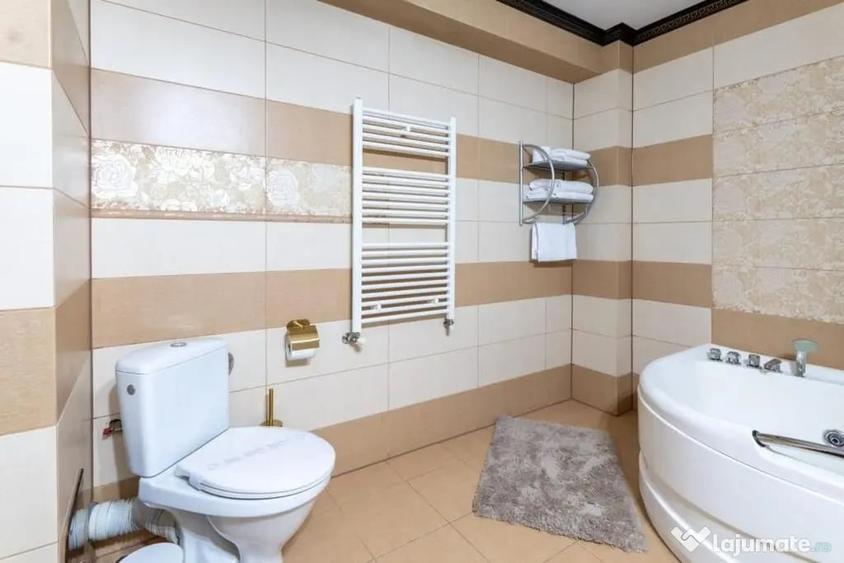 Spațiu comercial, de 2,334 mp, în Valea Lupului