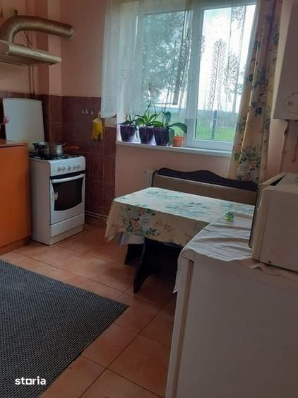 Apartament 3 camera Gusterita - 1