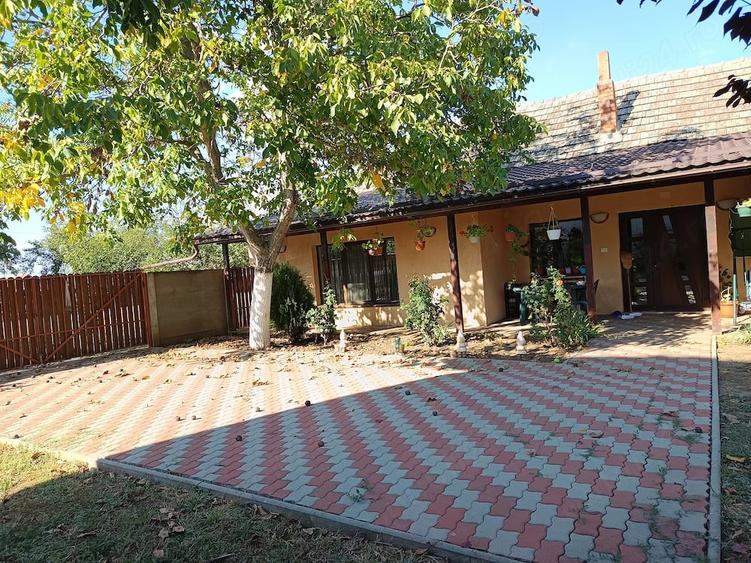 Casă cu 5 camere cu Teren 1530 Mp în Orțișoara
