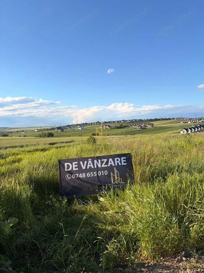 Teren de 12800 mp, în Sfântu Ilie