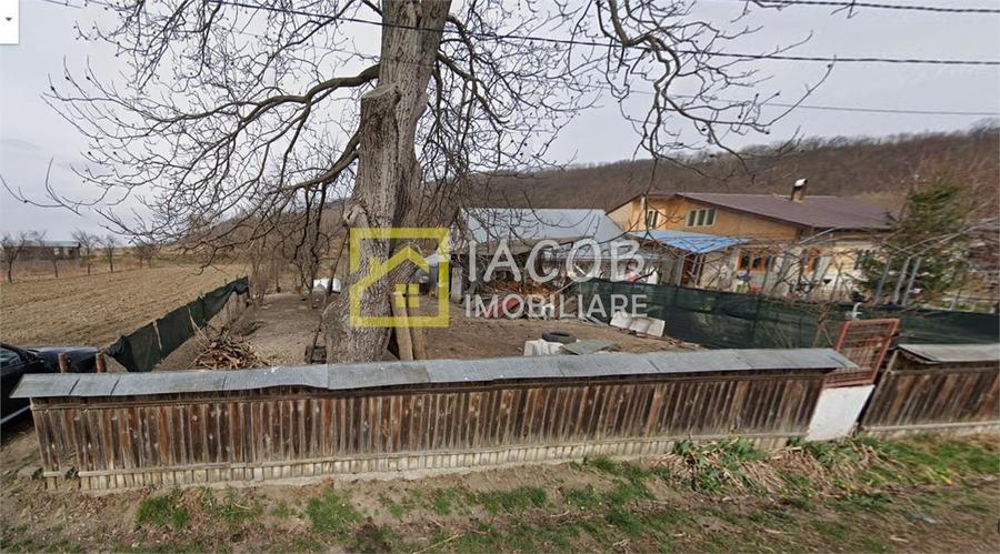 Teren Construcții intravilan de 3630 mp, în Tamași
